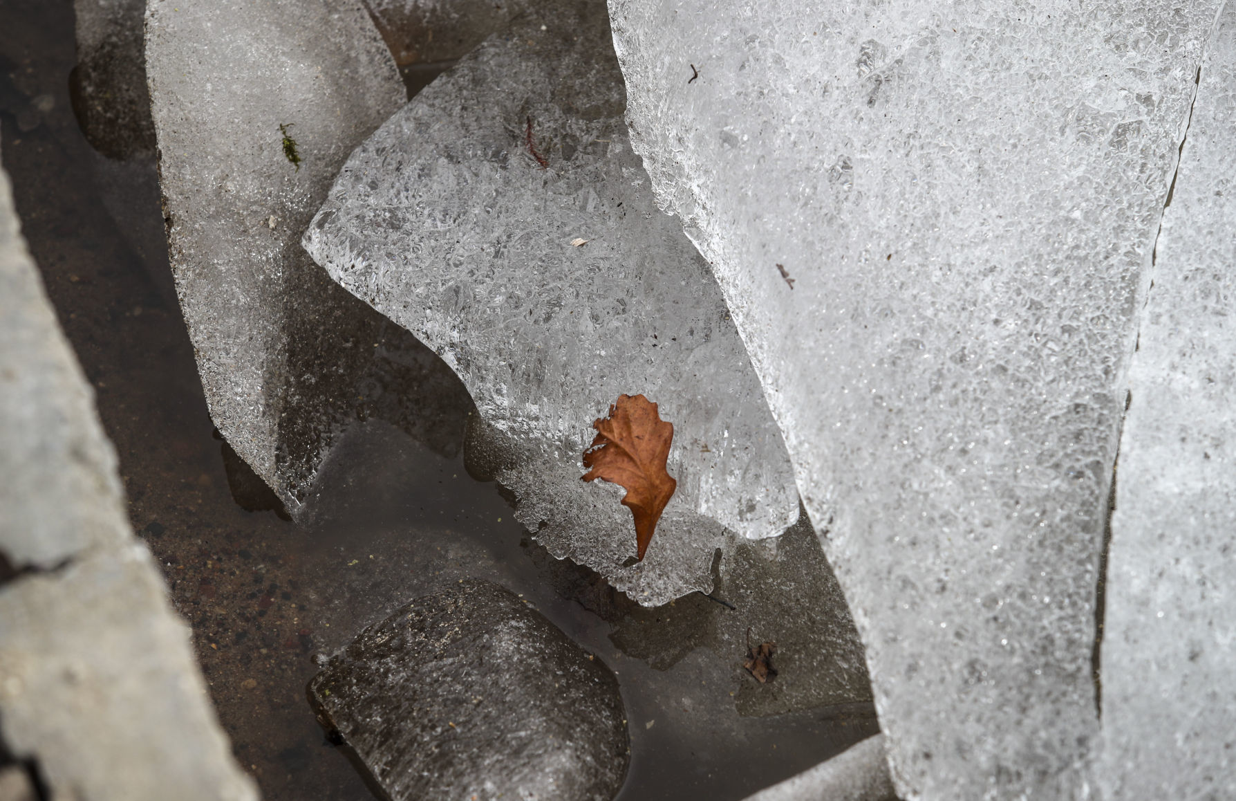 022118-ROCK-RIVER-FLOOD-003